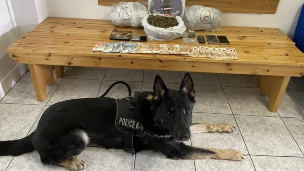 Θεσσαλονίκη: Ο Ακύλας «ξετρύπωσε» πάνω από ένα κιλό κοκαΐνης σε πορτ μπαγκάζ αυτοκινήτου [βίντεο]
